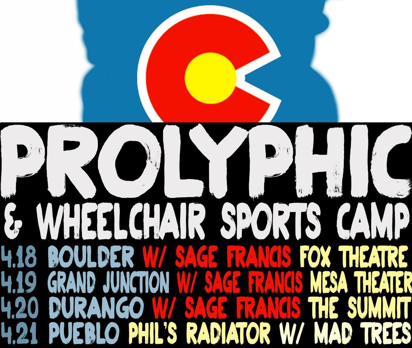 Wheelchair Sports Camp