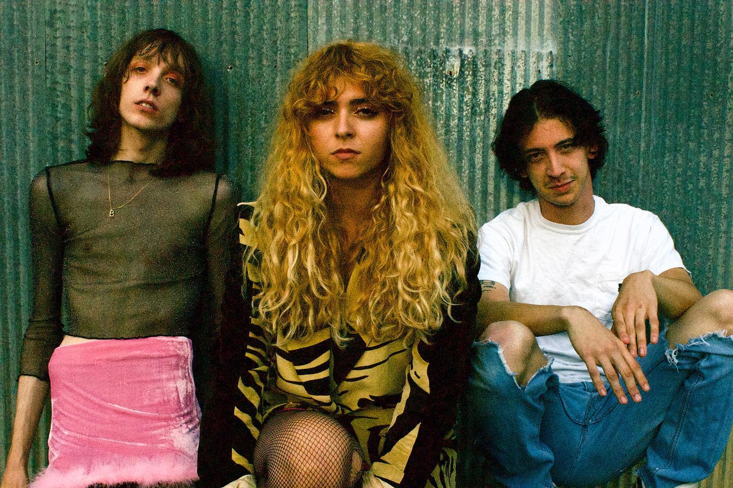 The Velveteers