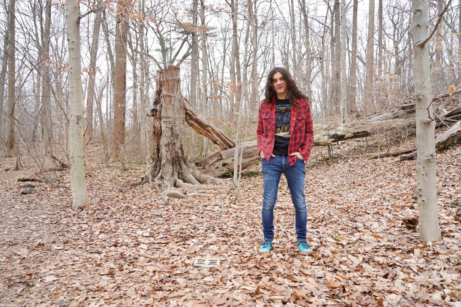 Kurt Vile and the Violators