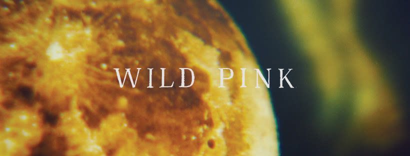 Wild Pink