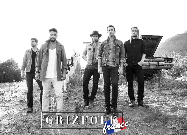 Grizfolk