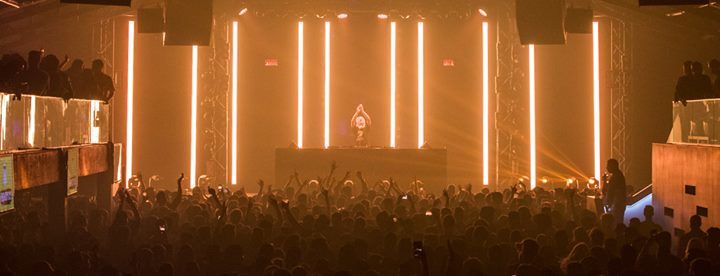 Elephante