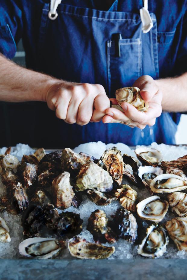 HandsOn Oyster Tasting & Shucking Class in NYC at Greenpoint