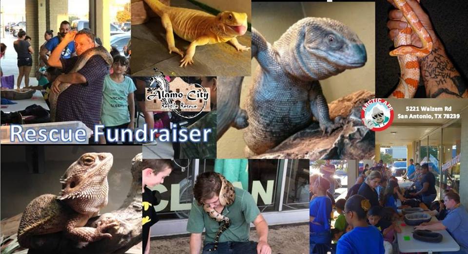 Reptile Encounter/Fundraiser for Alamo City Reptile Rescue in