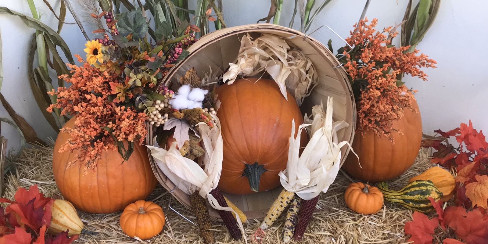 Party in the Pumpkin Patch in Santa Monica at Astro Doughnuts