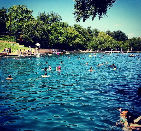 Annual Barton Springs Polar Bear Splash 2015 in Austin at Barton