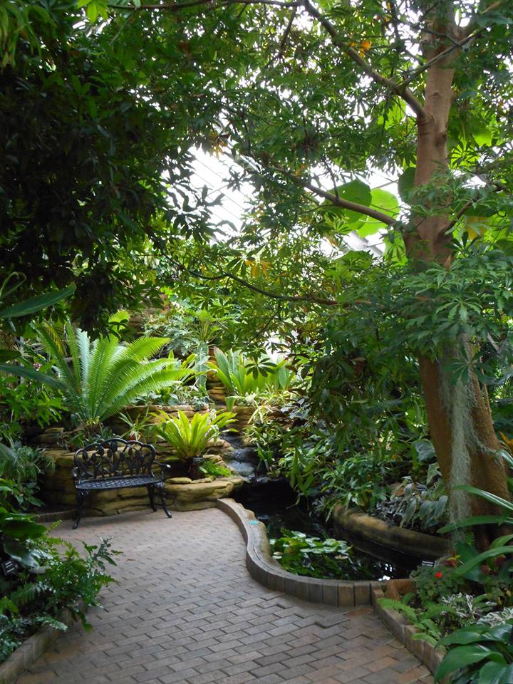 Pack The Parks: Garfield Conservatory in Indianapolis at