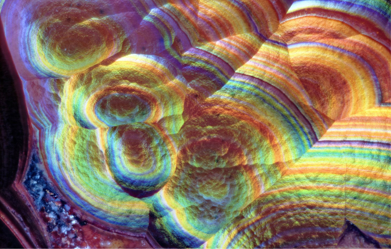 38th Annual Portland Regional Gem & Mineral Show in Canby at