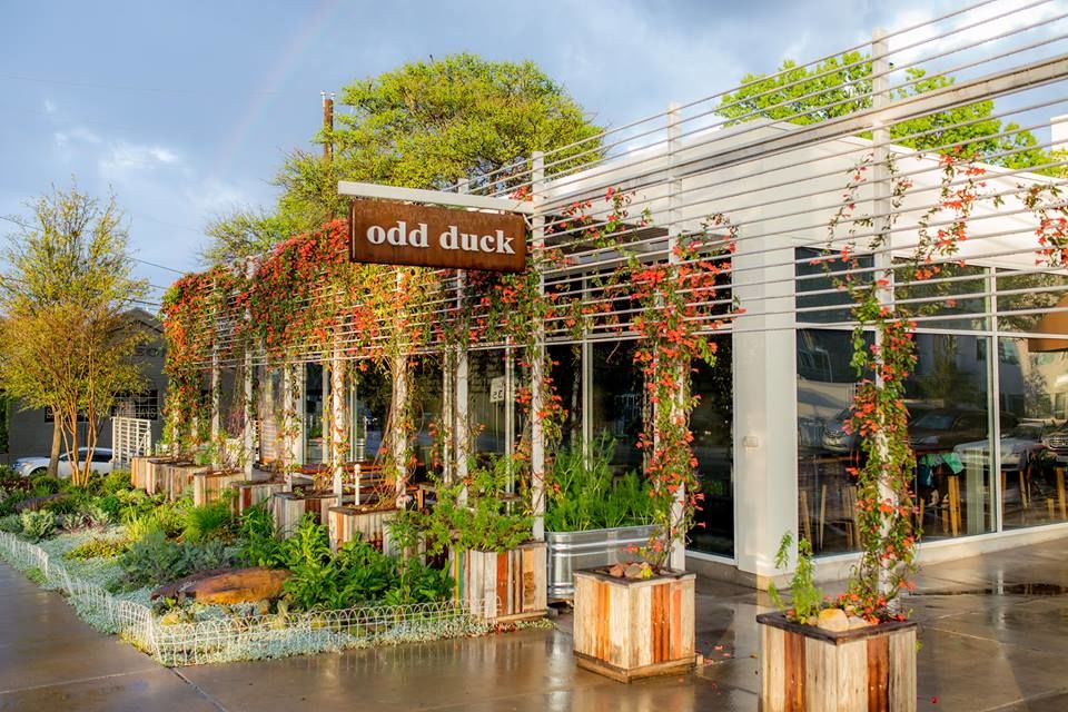 The Best Patio Bars & Restaurants in Austin