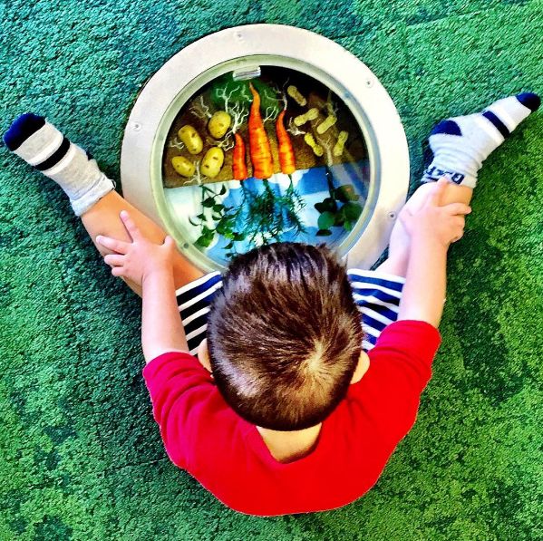 Do512 Family Days at Thinkery Baby Bloomers