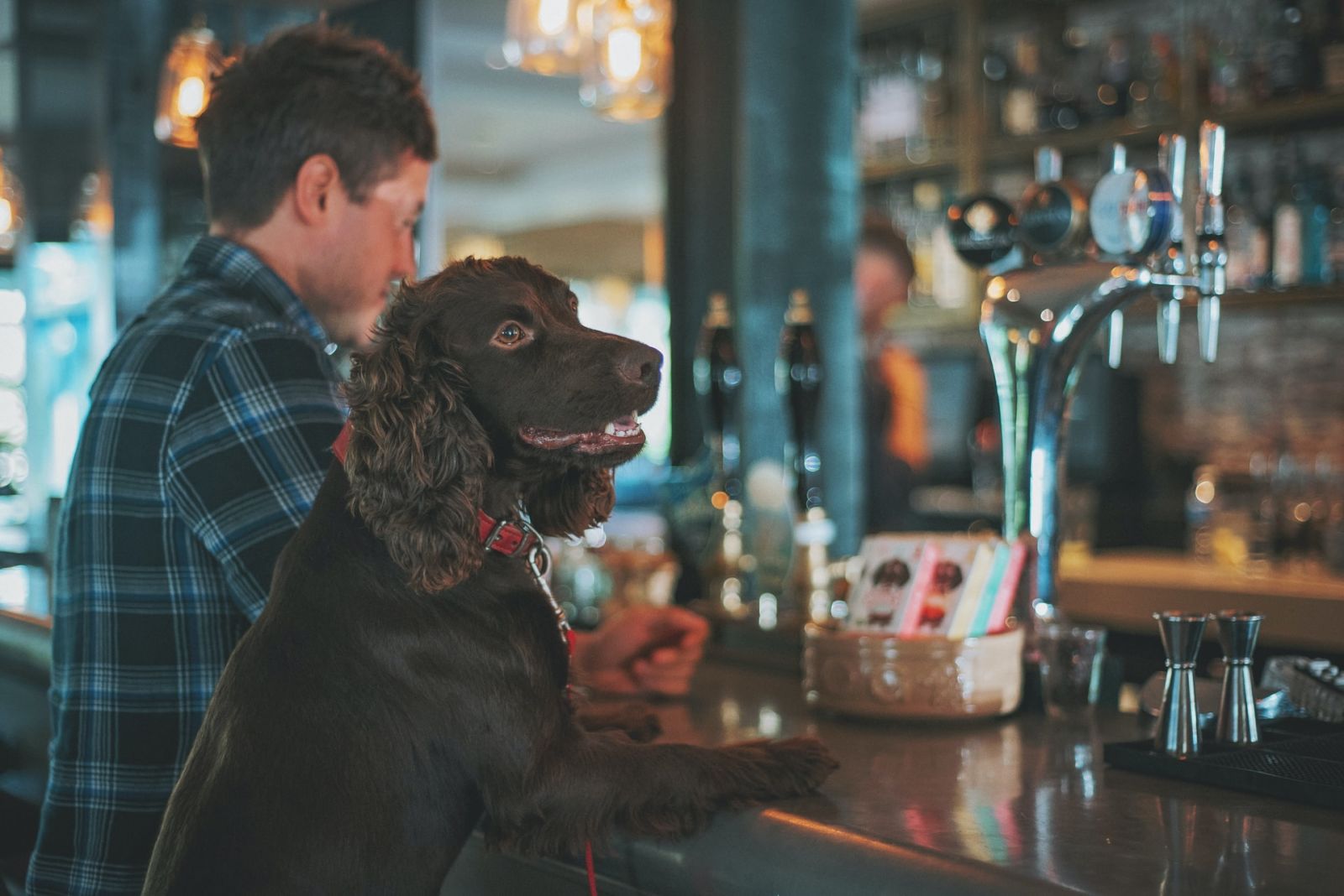 Dog Friendly Bars