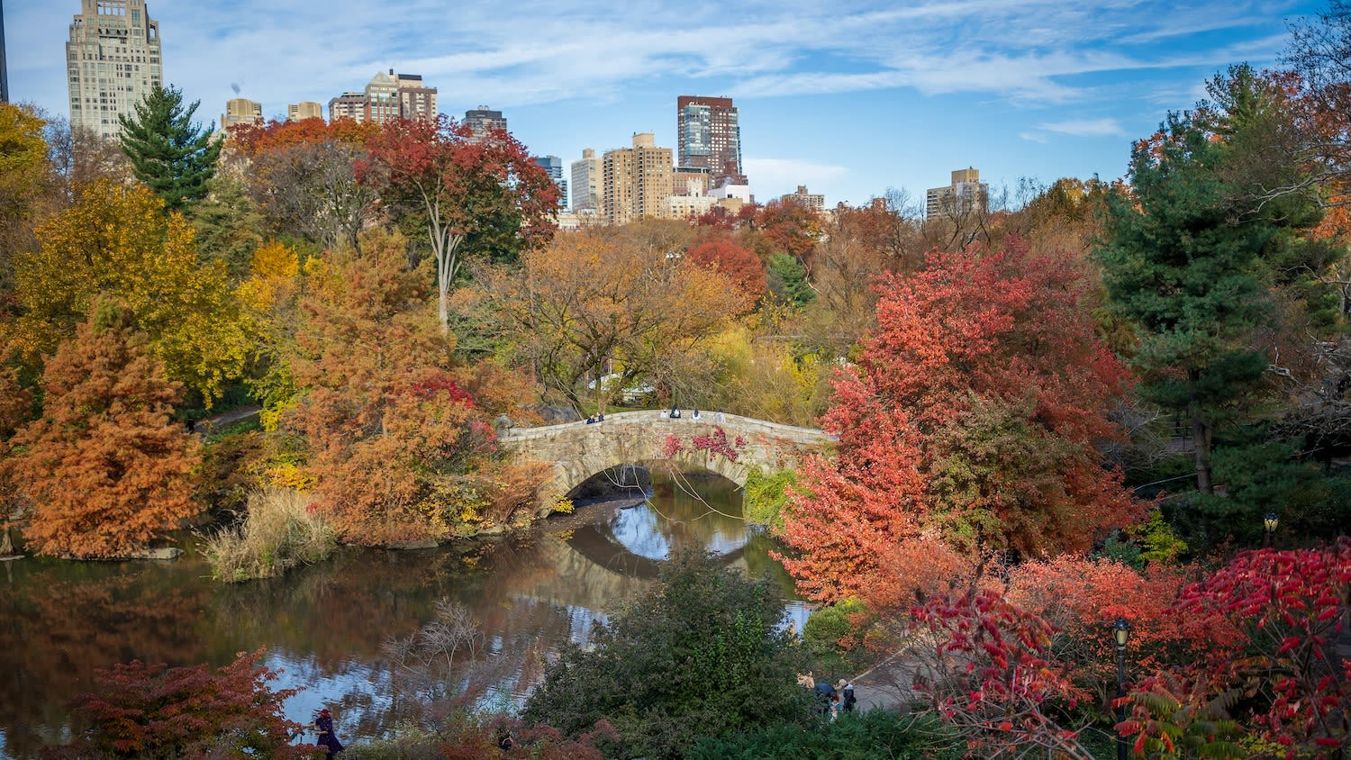 100 Things to Do in November