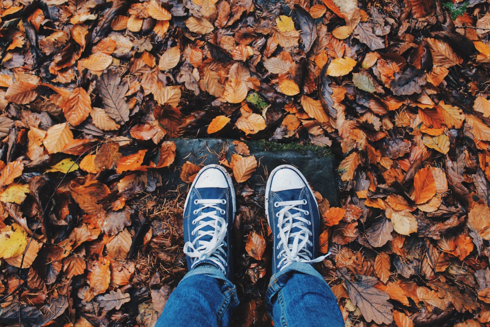 50 Things To Do in October