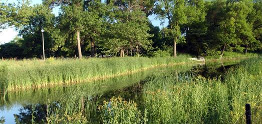 Humboldt Park