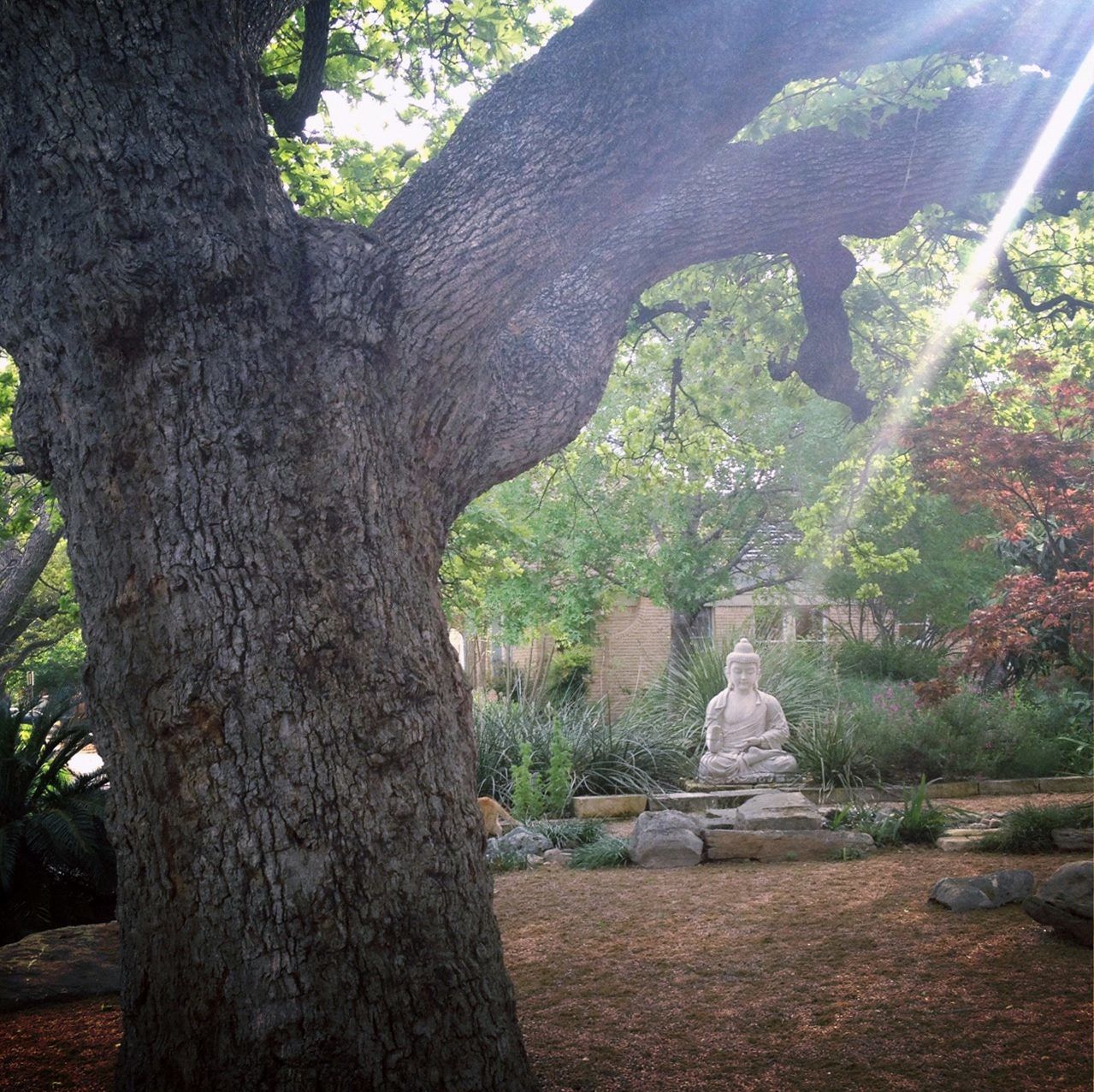 Austin Zen Center, Events in Austin on Do512