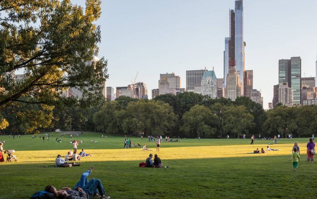 Summerstage Central Park Upcoming Events In New York On DoNYC