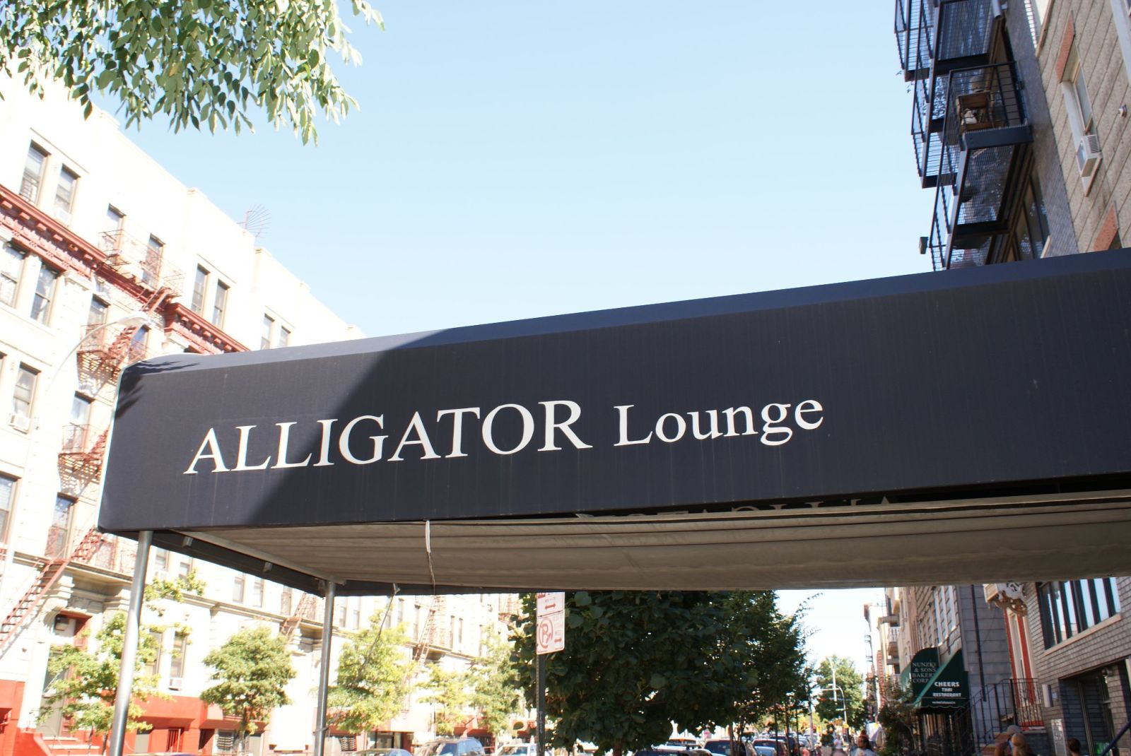 alligator-lounge-upcoming-events-in-brooklyn-on-donyc