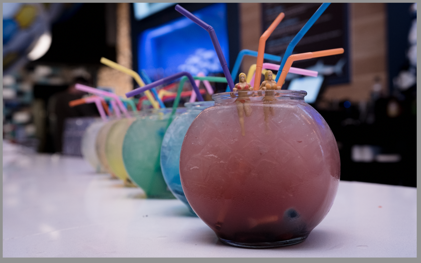 Aquarium on Sixth, Events in Austin on Do512