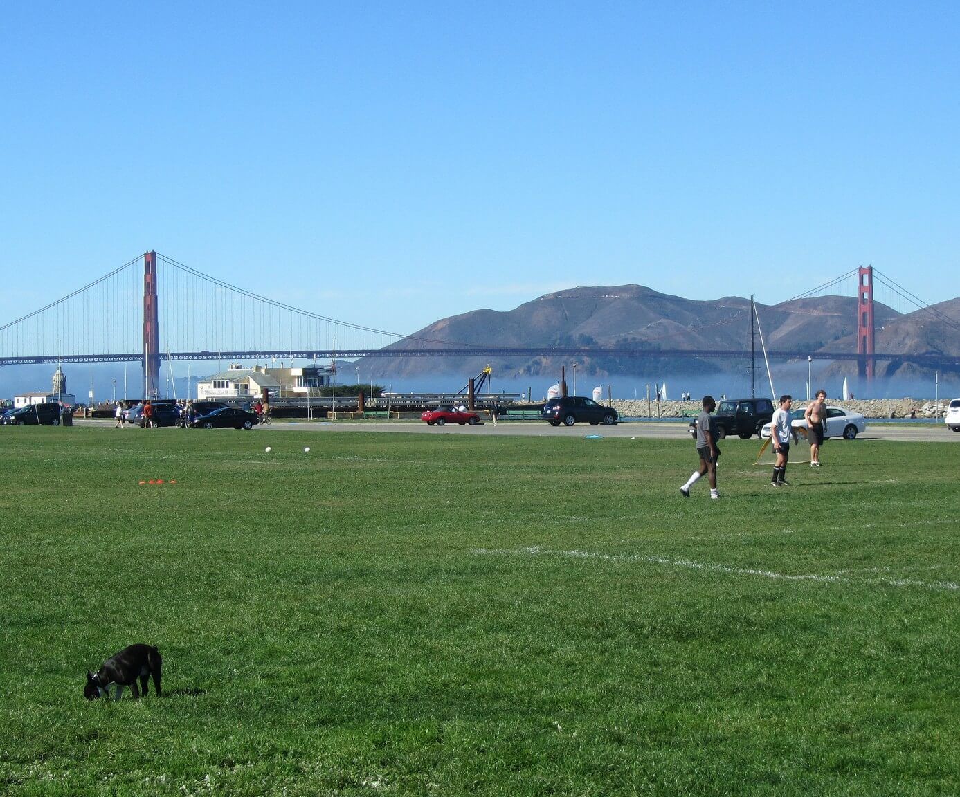 Marina Green , Events in San Francisco on DoTheBay