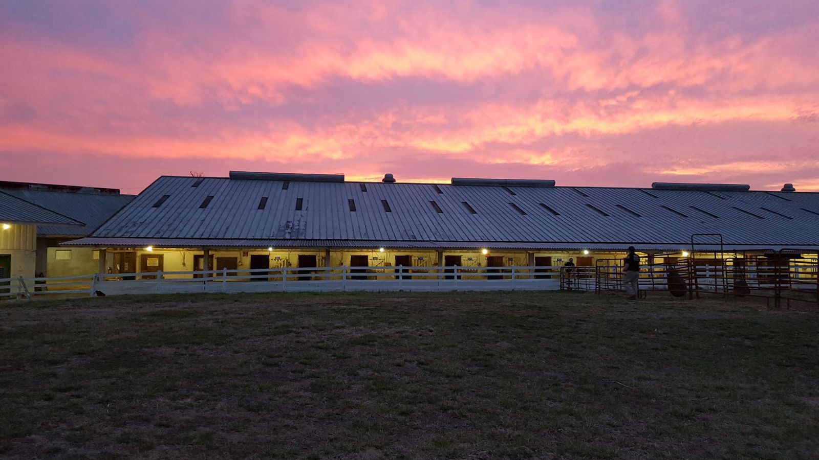 Ellington Agricultural Center, Events in Nashville on