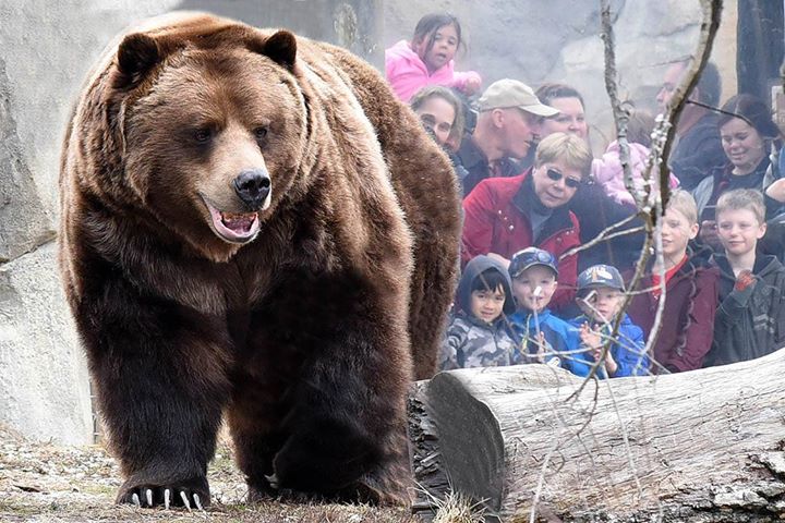 Brookfield Zoo