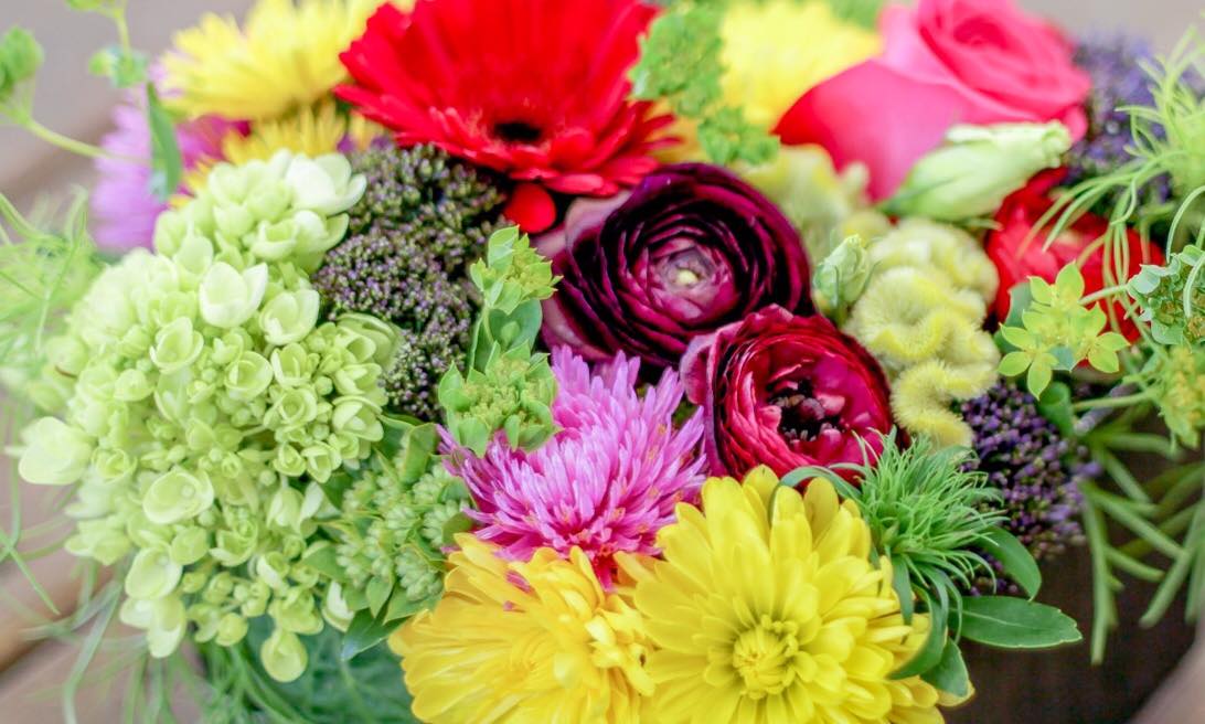 Blooms Lace Upcoming Events In Indianapolis On Do317