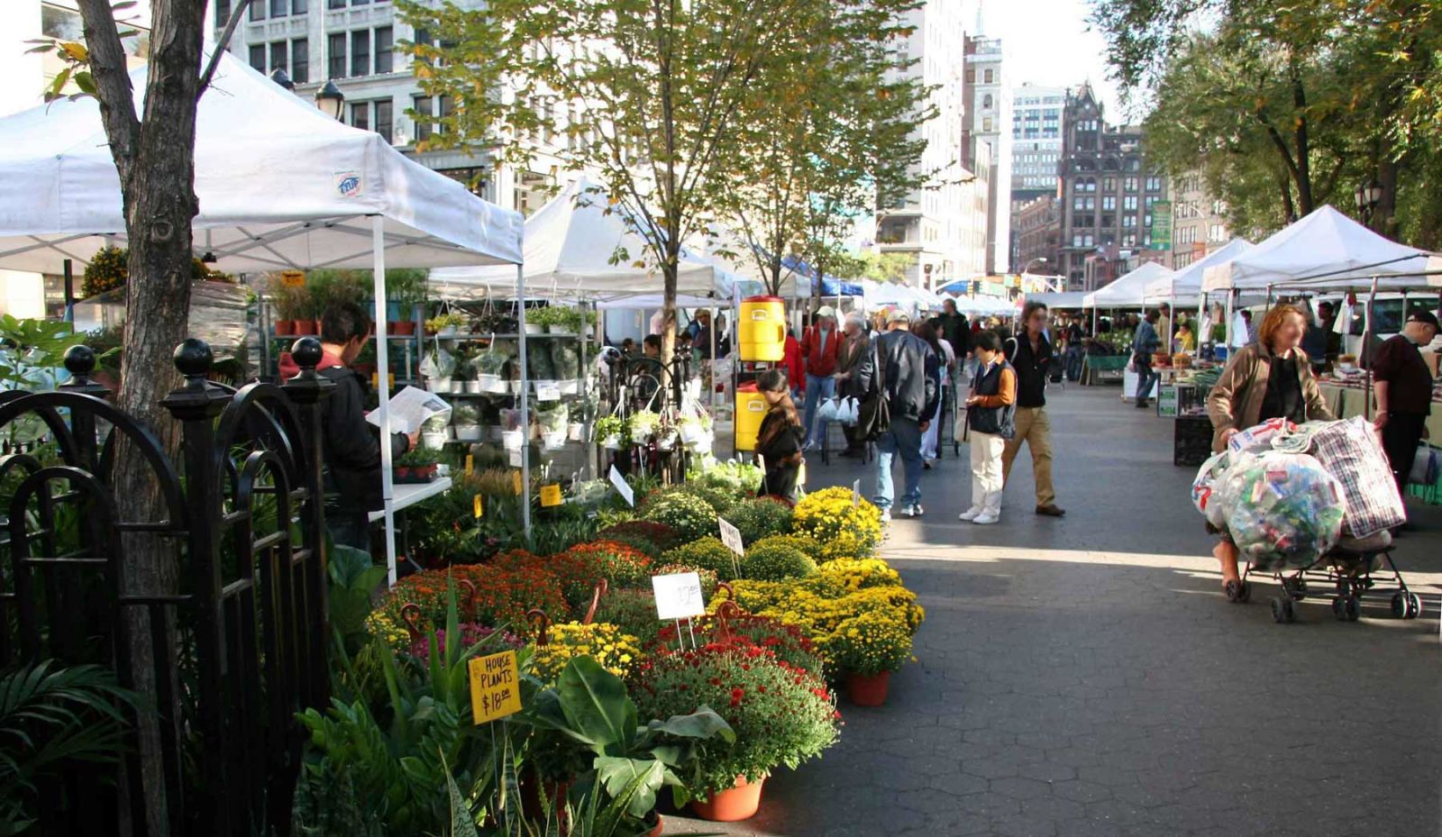 Borough Hall Greenmarket, Events in Brooklyn on doNYC