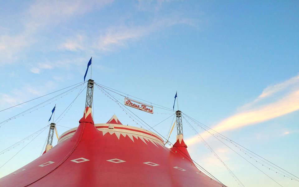 circus-flora-upcoming-events-in-st-louis-on-do314