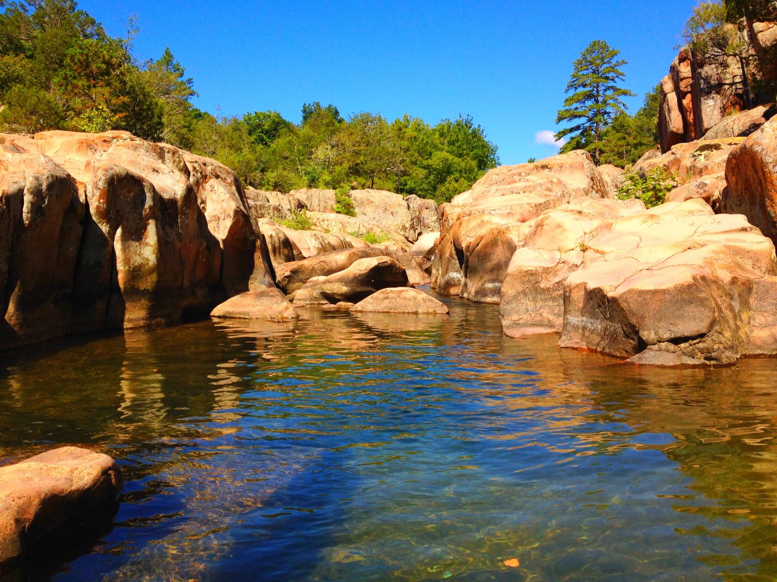 Castor River ShutIns, Events in Fredericktown on