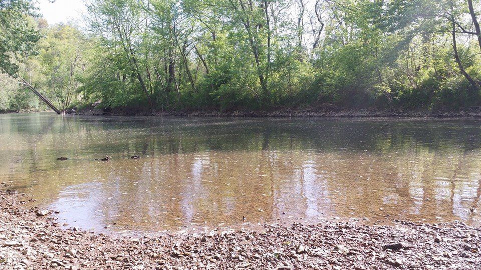 Pecker's Beach, Upcoming Events in Springfield on Do314