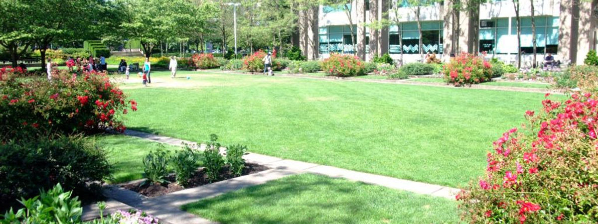 Civic Square Upcoming Events In Burnaby On Do604 Civic Square Upcoming Events In Burnaby On Do604