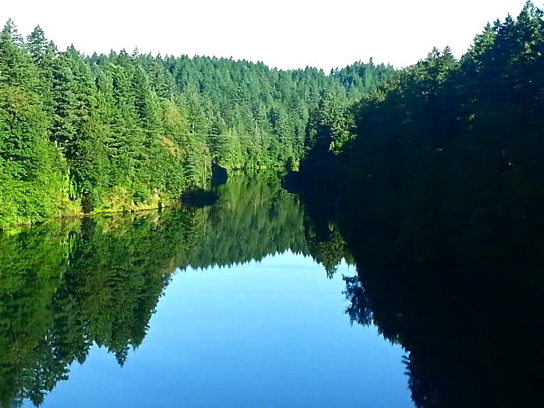 Timber Park, Events in Estacada on DoPDX