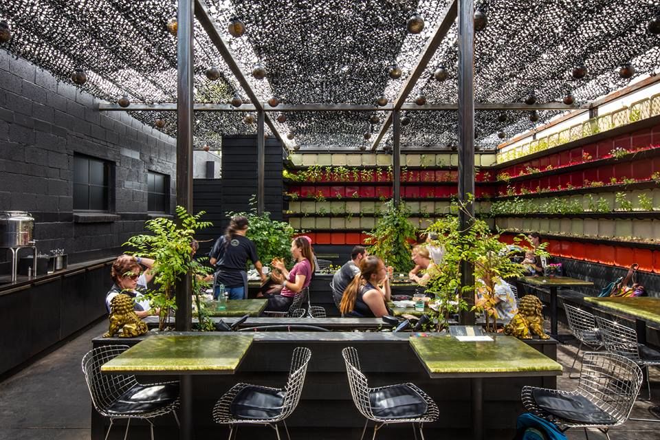Root Tree Denver Vital Root, Upcoming Events in Denver on Do303