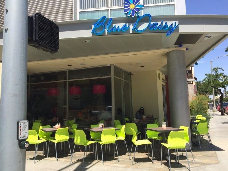 Blue Daisy, Events in Santa Monica, Ca 90401 on DoLA