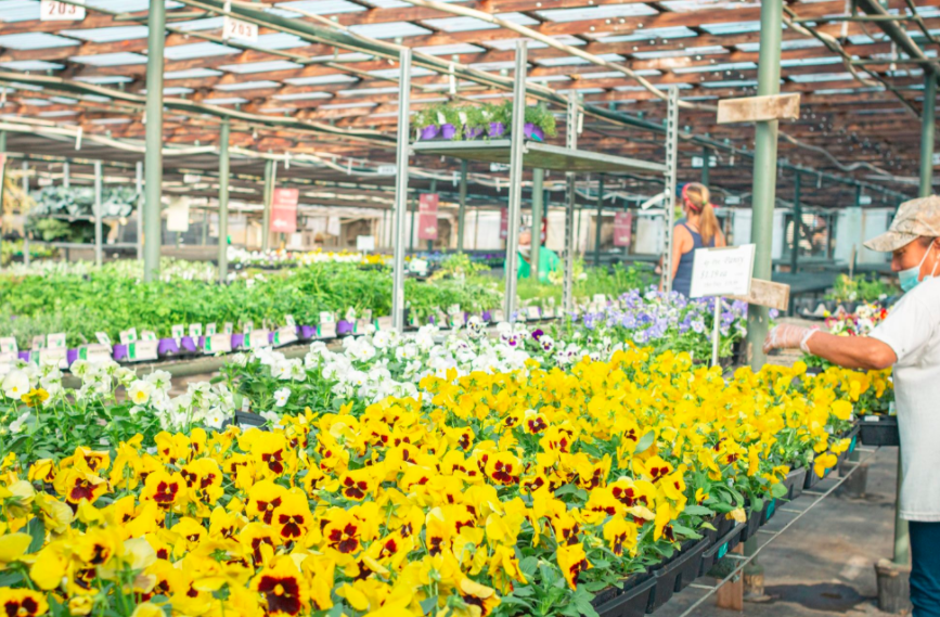 Bates Nursery and Garden Center, Events in Nashville on