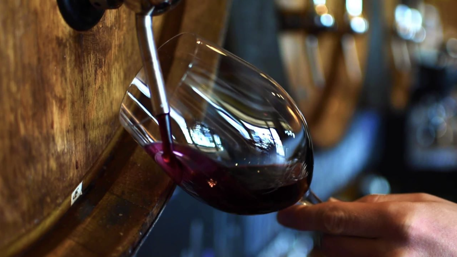 City Winery