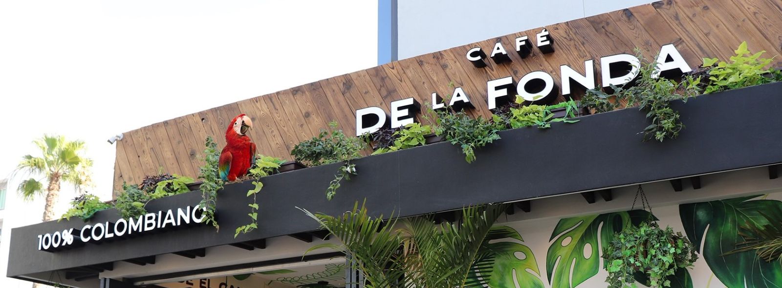 Café de la Fonda México, Próximos eventos en Tijuana en HazTJ