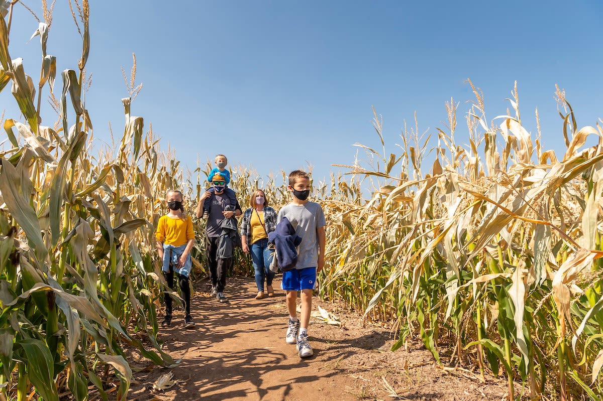 Denver Botanic Gardens at Chatfield Farms, Events in