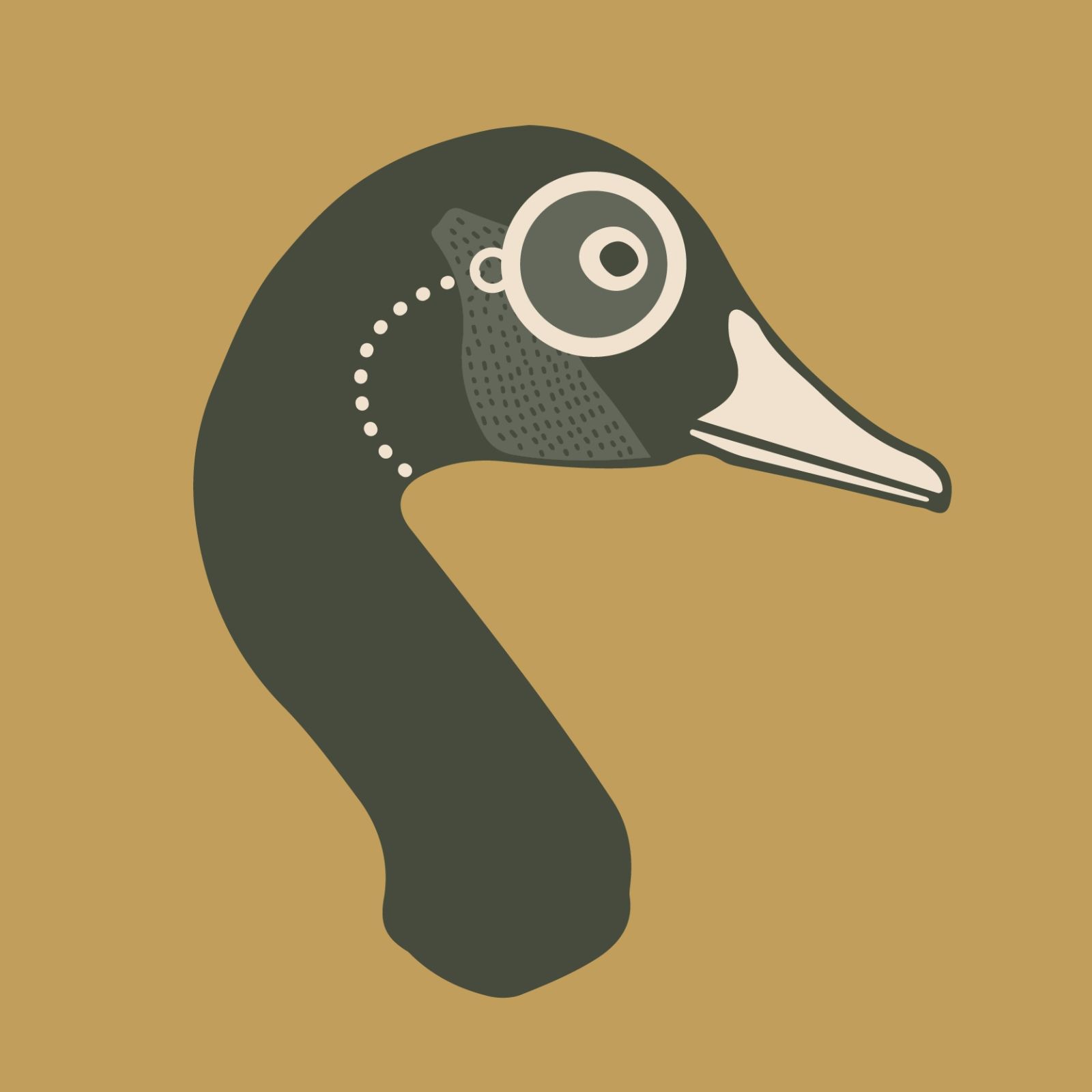 Saint Goose Upcoming Events In Franklin On Do615