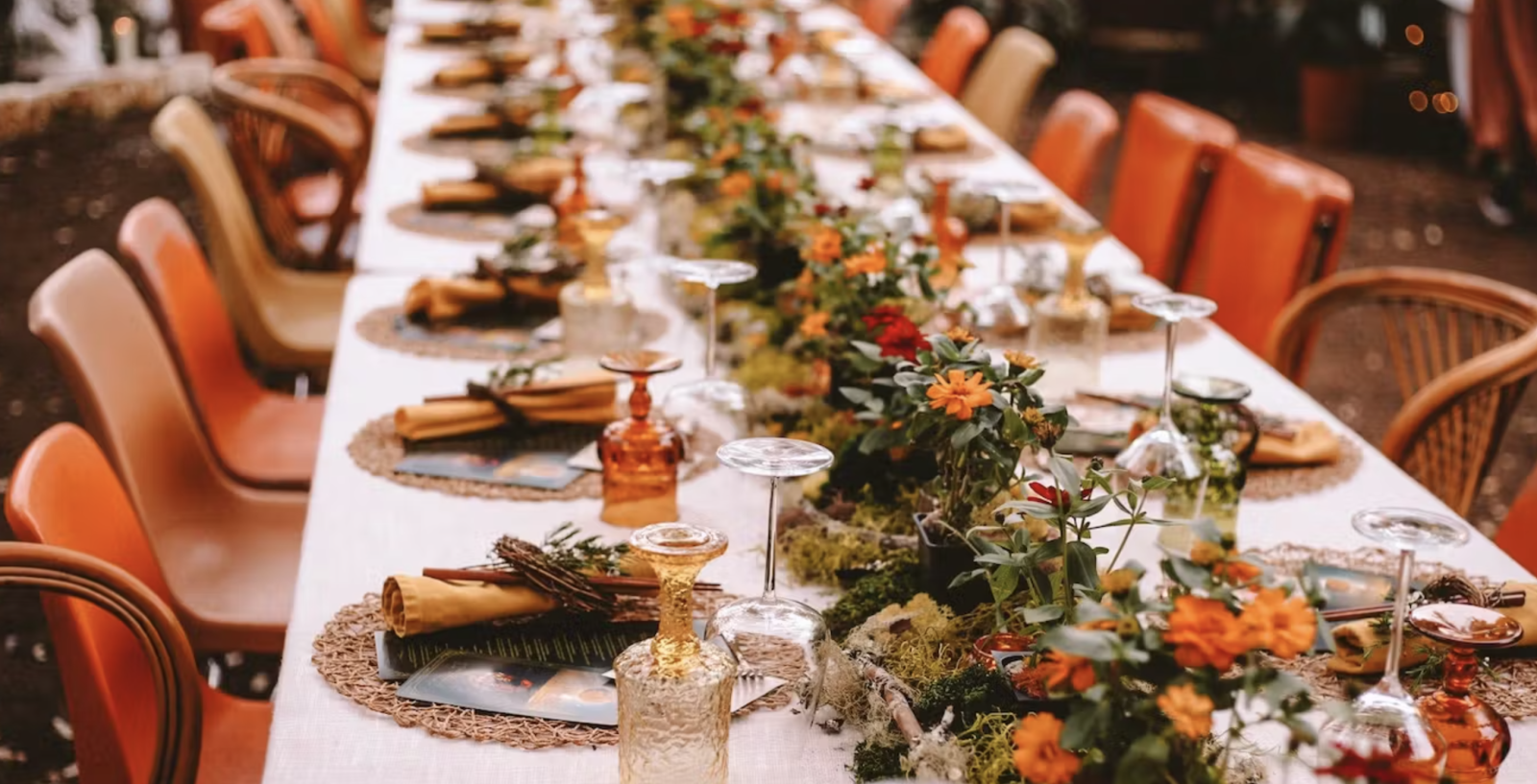 Midnight Garden Placementostee