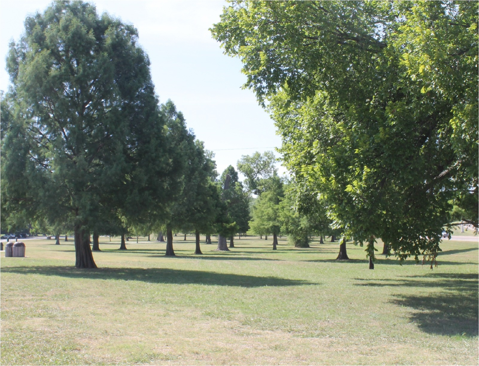 Norbuck Park (White Rock), Upcoming Events in Dallas on Do214