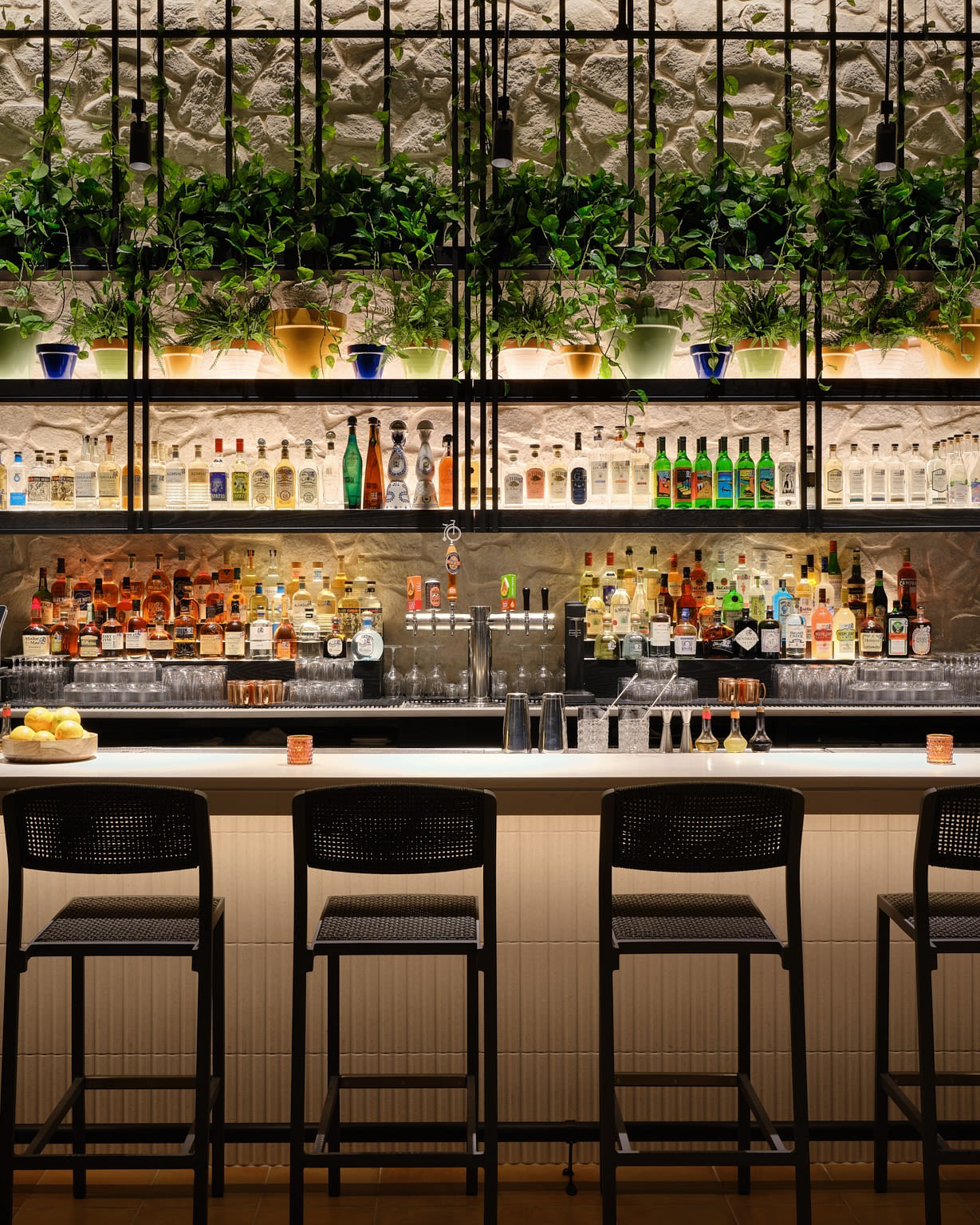 Tenfold Rooftop, Upcoming Events in San Antonio on Do210