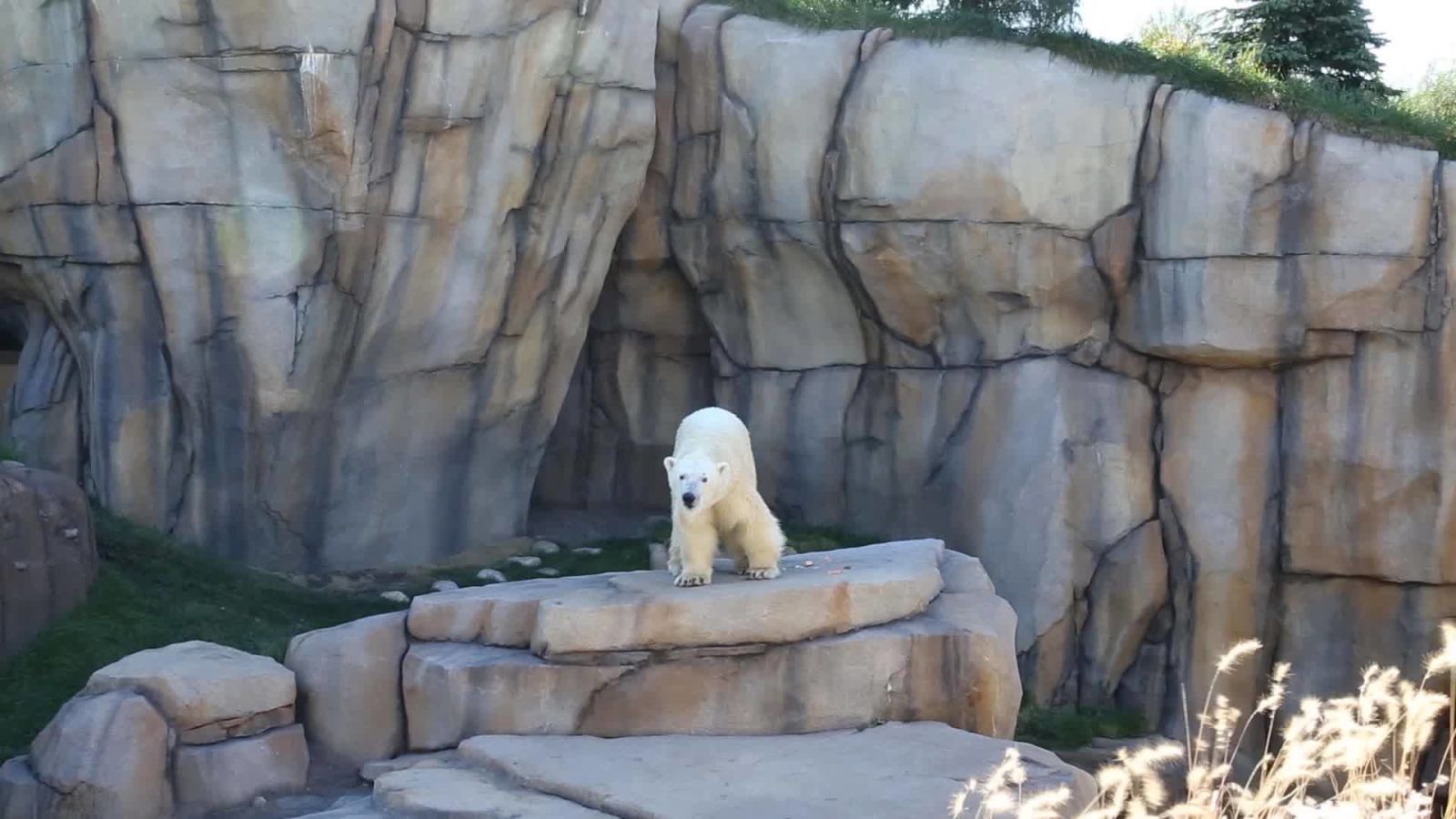 Lincoln Park Zoo